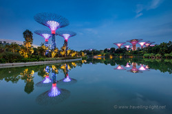 Supertree Grove Illuminated at Twilight