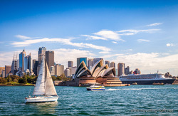 The Harbour, Sydney, NSW